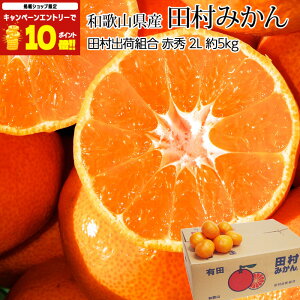 yubNtCf[Gg[P10{300~OFFN[|z ݂ c݂ ԏG 5kg 2LTCY 35 a̎RY Yn  ~J Lc݂  t[c ʕ Mtg