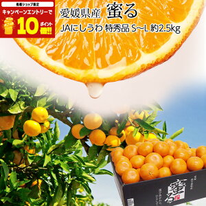 yGg?Ń|Cg10{z ݂ ݂  Gi 2.5kg S`LTCY 20`30 QY Yn  ~J ݂  t[c ʕ Mtg  v[g j T