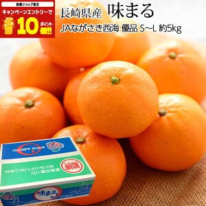 yGg?Ń|Cg10{z ݂ ܂ Di 5kg S`LTCY 40`60 茧Y  ~J C  t[c ʕ Mtg  v[g j TCY Yv~A