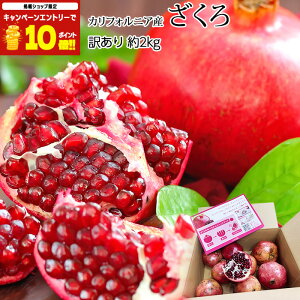 yGg?Ń|Cg10{z  󂠂 2kg JtHjAY AJ UN ў  t[c ʕ Mtg ƒp v[g j Yv~A