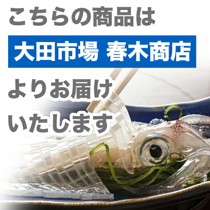 楽天市場 いか 活いか 4尾セット 約600g 1kg 約150g 250g 1尾 北海道函館産 春木商店 送料無料 活イカ 烏賊 ヤリイカ スルメイカ 海鮮 セット 北海道 贈答用 プレゼント 内祝い 産直プレミアム 産直プレミアム