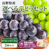 【エントリ—＆条件達成でP最大10倍】【敬老の日 ギフト】ぶどう シャインマスカット ナガノパープル 約1…