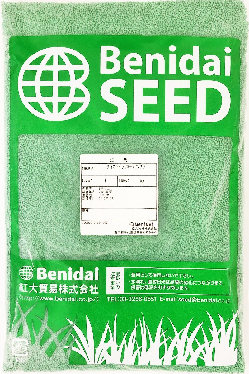 グランドカバー 日陰地緑化 送料無料 ダイカンドラ種子 コート種子 1kg