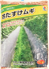 おたすけムギ 大麦（緑肥用）1kg～20kgタキイ種苗　緑肥の種