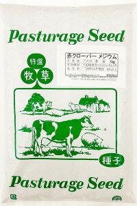 種 1kg クローバーの人気商品 通販 価格比較 価格 Com