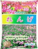 レンゲ種子　1kg～20kg緑肥の種