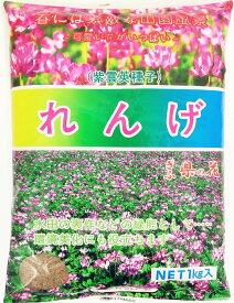 レンゲ種子　1kg～20kg緑肥の種