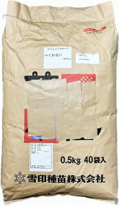 N\N[o[q@Ȃ@20kg܁i500g×40܁j