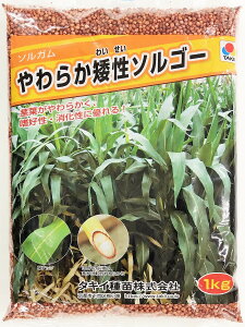 \Kq@炩␫\S[@1kg`20kg@^LCc