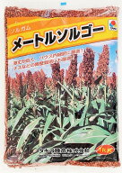 ソルガム種子　メートルソルゴー　1kg～20kg　タキイ種苗