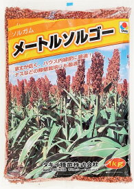 ソルガム種子　メートルソルゴー　1kg～20kg　タキイ種苗