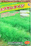 ネグサレタイジ　アウェナストリゴサ（えん麦野生種）種子1kg～20kg原袋　タキイ種苗　緑肥の種