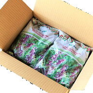 ヘアリーベッチ種子　品種指定なし　10kg（1kg×10袋）緑肥の種
