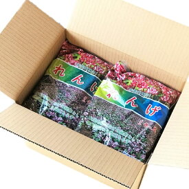 レンゲ種子　10kg　緑肥の種