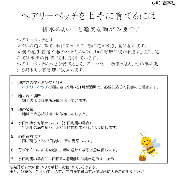 レンゲ種子 80kg 20kg×4箱 緑肥の種 ※写真は20kg入りです レンゲ種子 80kg 20kg×4箱 緑肥の種 ※写真は20kg入りです