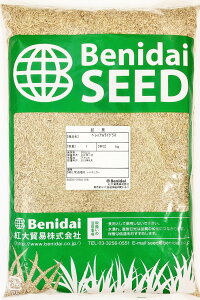 種 洋芝の人気商品 通販 価格比較 価格 Com