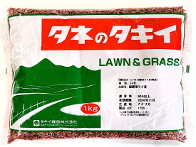らい麦 緑肥用ライ麦 1kg～20kg原袋（タキイ種苗）緑肥の種