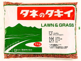 ソルガム種子　グランデソルゴー　1kg～20kg　タキイ種苗