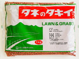 ソルガム種子　グランデソルゴー　1kg～20kg　タキイ種苗