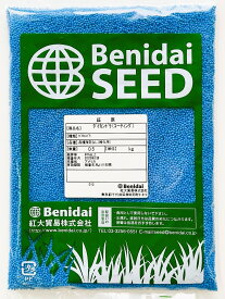 ダイカンドラ種子（コート種子）500g