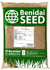 バミューダグラス種子　1kg～20kg紅大貿易　芝の種