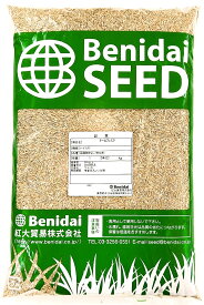 トールフェスク種子　品種指定なし　1kg～20kg紅大貿易　芝の種