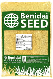 バミューダグラス　品種名：トランスコンチネンタル（コーティング種子）1kg～12kg　紅大貿易　芝の種