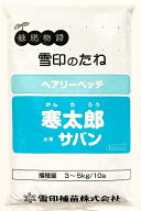 ヘアリーベッチ種子　寒太郎　品種名：サバン　1kg　雪印種苗