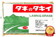 えん麦種子　極早生スプリンター（ペット用・農薬未処理）1kg～20kg原袋　タキイ種苗　牧草の種