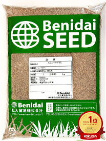 バミューダグラス種子　1kg～20kg紅大貿易　芝の種