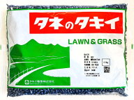 ひまわり種子　品種：緑肥用ひまわり　ブエルタ　1kg（500g×2袋）タキイ種苗