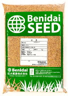 ホワイトクローバー種子　1kg～25kg　紅大貿易　緑化用