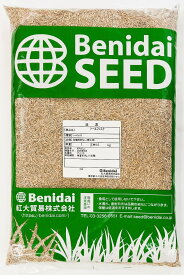 トールフェスク種子　品種指定なし　1kg～20kg紅大貿易　芝の種