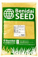 バミューダグラス　品種名：トランスコンチネンタル（コーティング種子）1kg～12kg　紅大貿易　芝の種