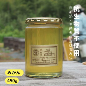 【2025年新蜜】国産 生はちみつ 無添加 抗生物質不使用 [ みかん蜜 450g ガラス瓶 ] 静岡県 生産者直送 非加熱蜂蜜 ハチミツ 美味しいはちみつ 蜜柑 はちみつ