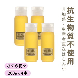 y2025NVzY ݂͂ Y ݂͂ Rsgp [ ԁX 200g 500g {g ] M I n`~c É YҒ ݂͂ t̕SԖ