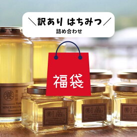 【訳あり福袋】 国産 はちみつ 無添加 抗生物質不使用 賞味期限2027年6月 ※お一人様一点限り※