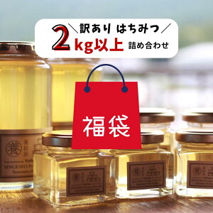 y󂠂蕟܁z Y ݂͂ Y Rsgp