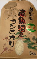 新米 令和8年産 南魚沼産こしひかり 5kg 産地直送 送料無料 白米 こめ 魚沼産コシヒカリ
