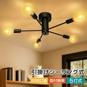 N[|pV LEDV[OC g 5 y_gCg ݂艺 X|bgCg _Ng[ Ɩ LED E26  dC Lb` CeBO[ VƖ