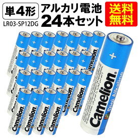 送料無料 アルカリ電池 単4形 LR03-SP12DG(単4/12本入×2 24本セット）