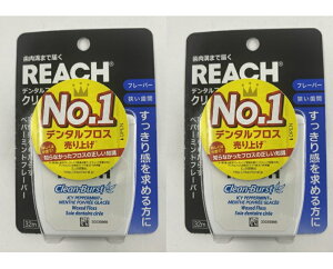 y1100~ |bLzy×2 z܂zXet@j[ϕi [` f^tX N[o[Xg yp[~g 32m