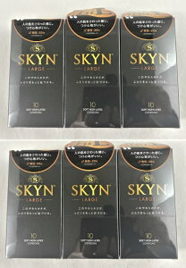 y10 ×6 zs񃉃ebNX SKYN [W Rh[@XL@D@SKYN@oYv(4902510180097)