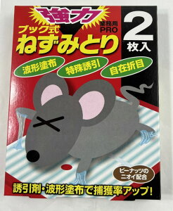 Ώtm wLT`  ubN ˂݂Ƃ 2 HiHHEqɂȂǂł̋쏜(4987125001708)