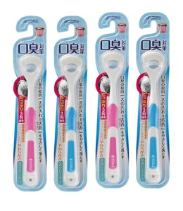 y×4{[֑zGrX GrXN-i- o-Obv 1{ 1 F͑Iׂ܂