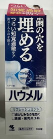 【店長のイチオシ】小林製薬 ハウメル リフレッシュミント 100g 薬用ハミガキ つらい知覚過敏症状を防ぐ、歯の穴を埋める 歯磨き粉 ハミガキ粉 はみがき粉 (4987072060674)