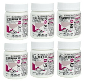 【×6個セット送料込】【第3類医薬品】小堺製薬 亜鉛華軟膏 50g