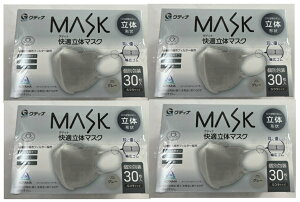 y30×4ZbgzOfBi MASK K̃}XN O[ ӂTCY (Rʏ )3w@\sDztB^[ ̌` 3D\ LS  ʕ (4570093520588 )