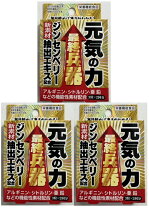 楽天市場】元気の力の通販