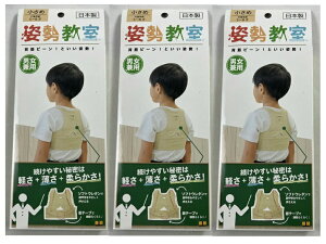 y×3Zbg[֑zeR[|[V p  AC{[ Ώ۔N:5`8˗p q̂납p 4571114465154